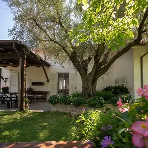 Bed & Breakfast Trecentolivi, Montignano